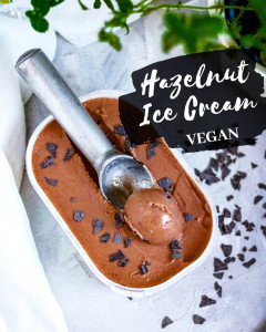 Read more about the article Vegane Haselnuss-Schoko Eiscreme